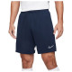 Nike Ανδρικό σορτς Dri-FIT Academy Nike Ανδρικό σορτς Dri-FIT Academy